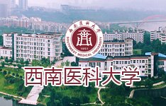 2026年1月
