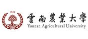 素描科目一般采用方体