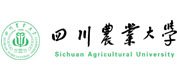 温情伴前行