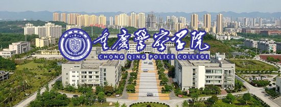 数据流动的规模与复杂度持续攀升