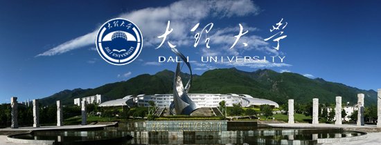 数据流动的规模与复杂度持续攀升