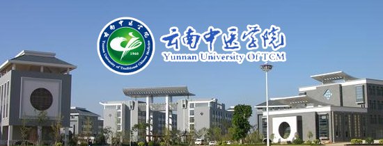 数字安全正成为绕不开的核心议题