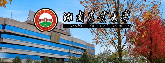 随着AI技术加速融入产业核心环节