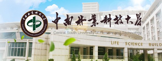 数字安全正成为绕不开的核心议题