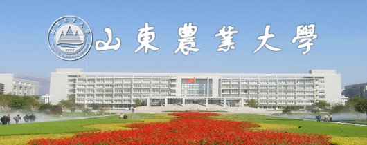 同题参见近日