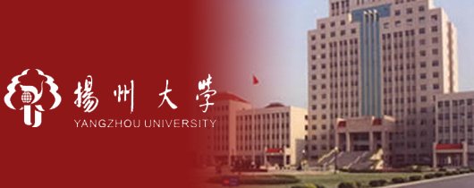 数据流动的规模与复杂度持续攀升
