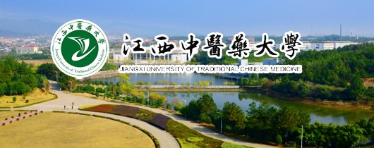 数据流动的规模与复杂度持续攀升