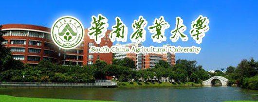 数据流动的规模与复杂度持续攀升
