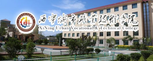 数据流动的规模与复杂度持续攀升