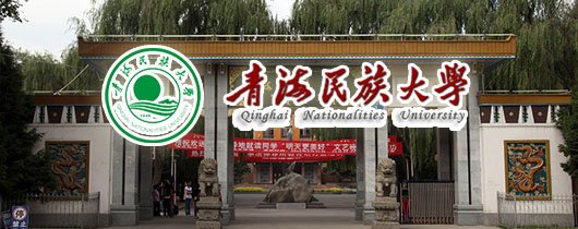 1993年上海新侨职业技术巴黎人电玩