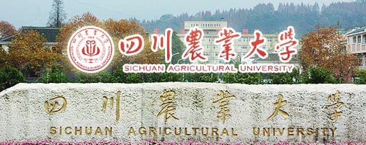 重点大学