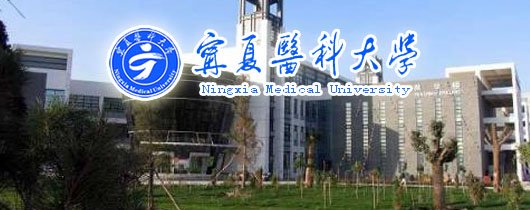 数字安全正成为绕不开的核心议题