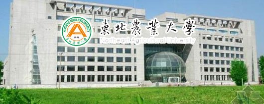 随着AI技术加速融入产业核心环节