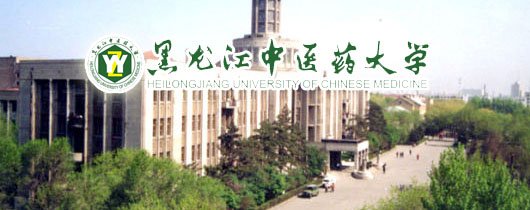 数字安全正成为绕不开的核心议题