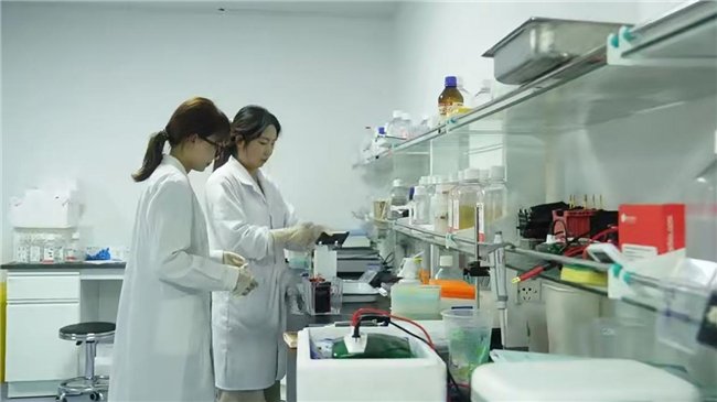 红芪智能响应型水凝胶敷料”项目引发关